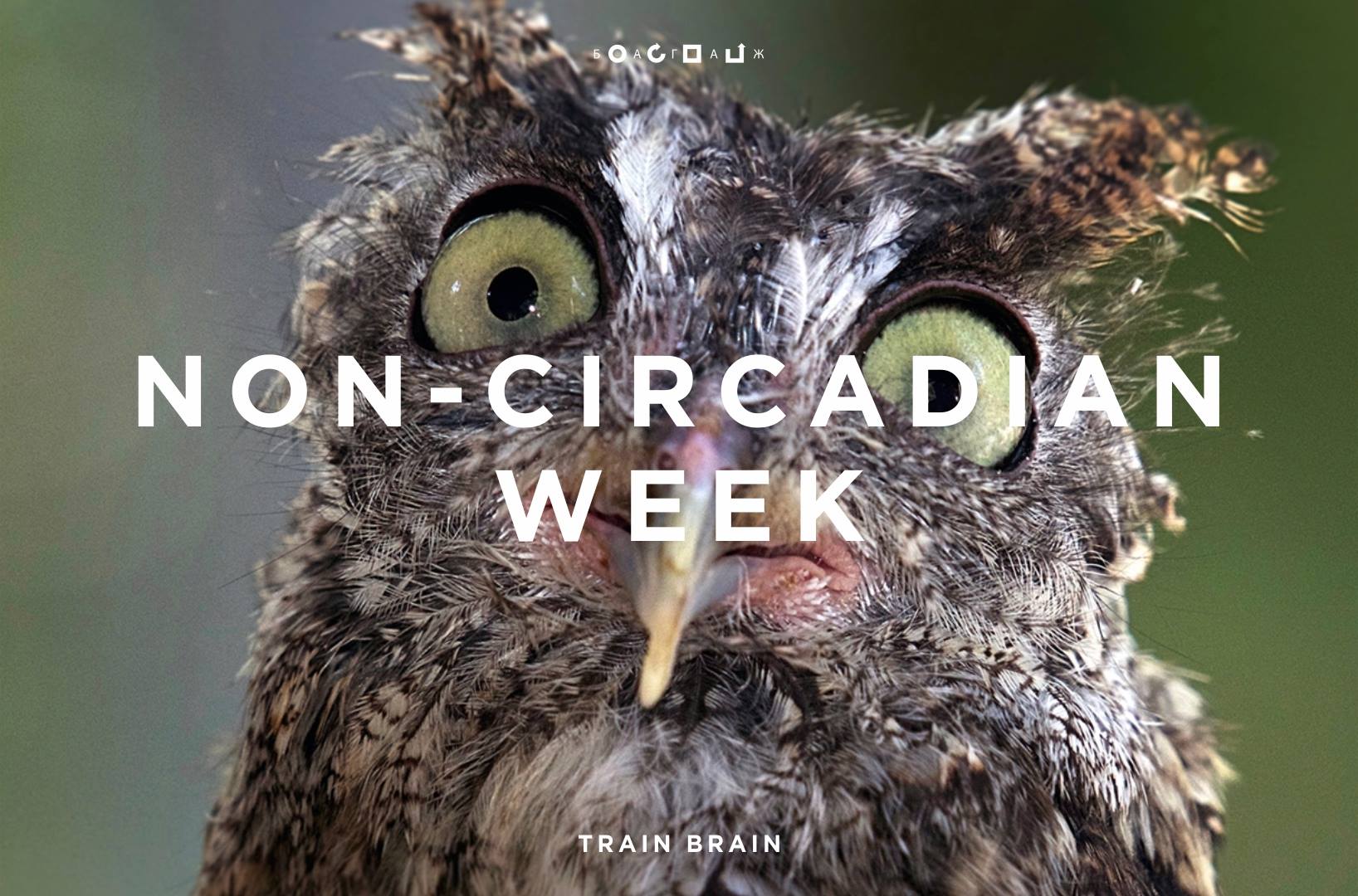 42_july_2017_NON CIRCADIAN WEEK